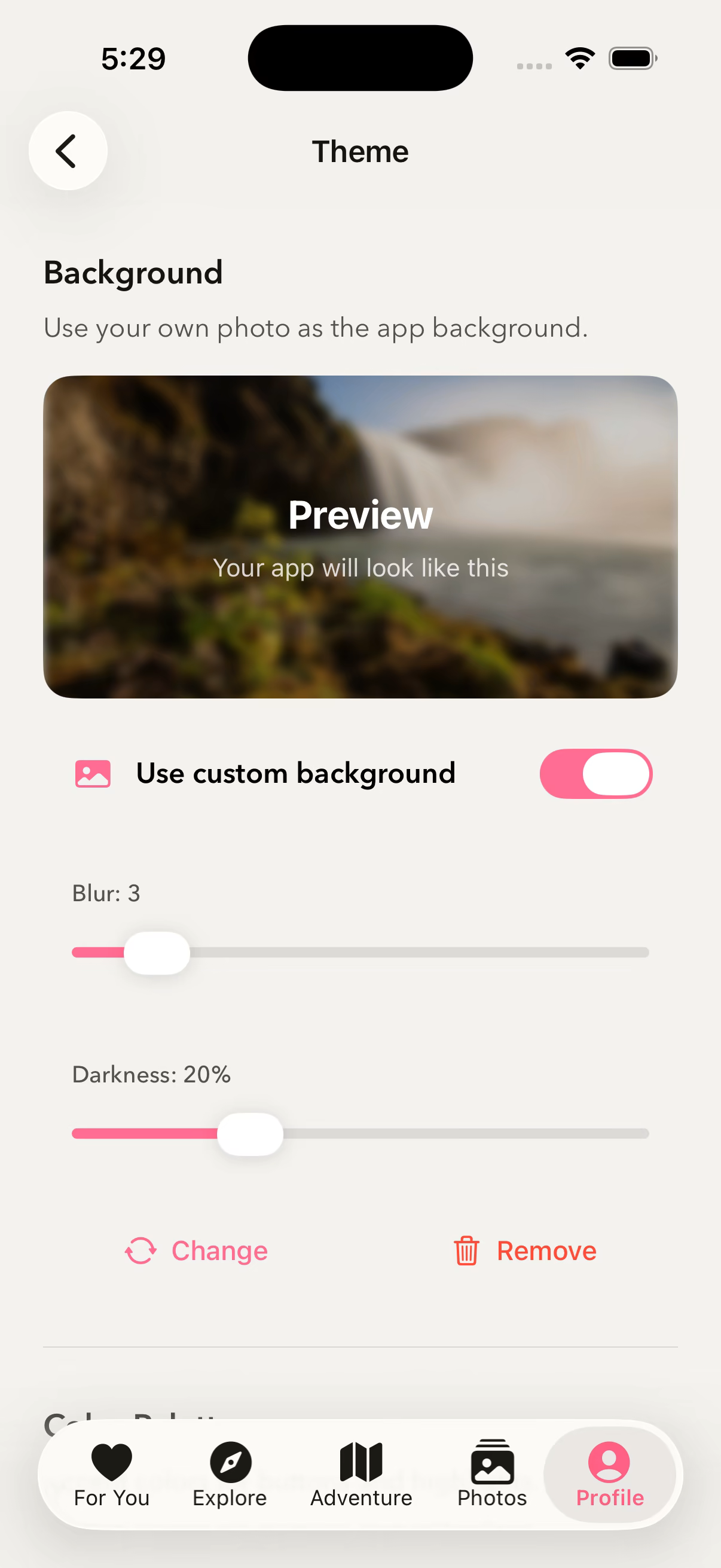 Theme Settings